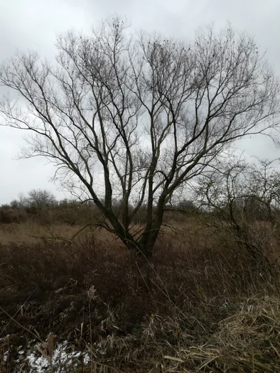 Plains of Zwijndrecht, Antwerp (Belgium)